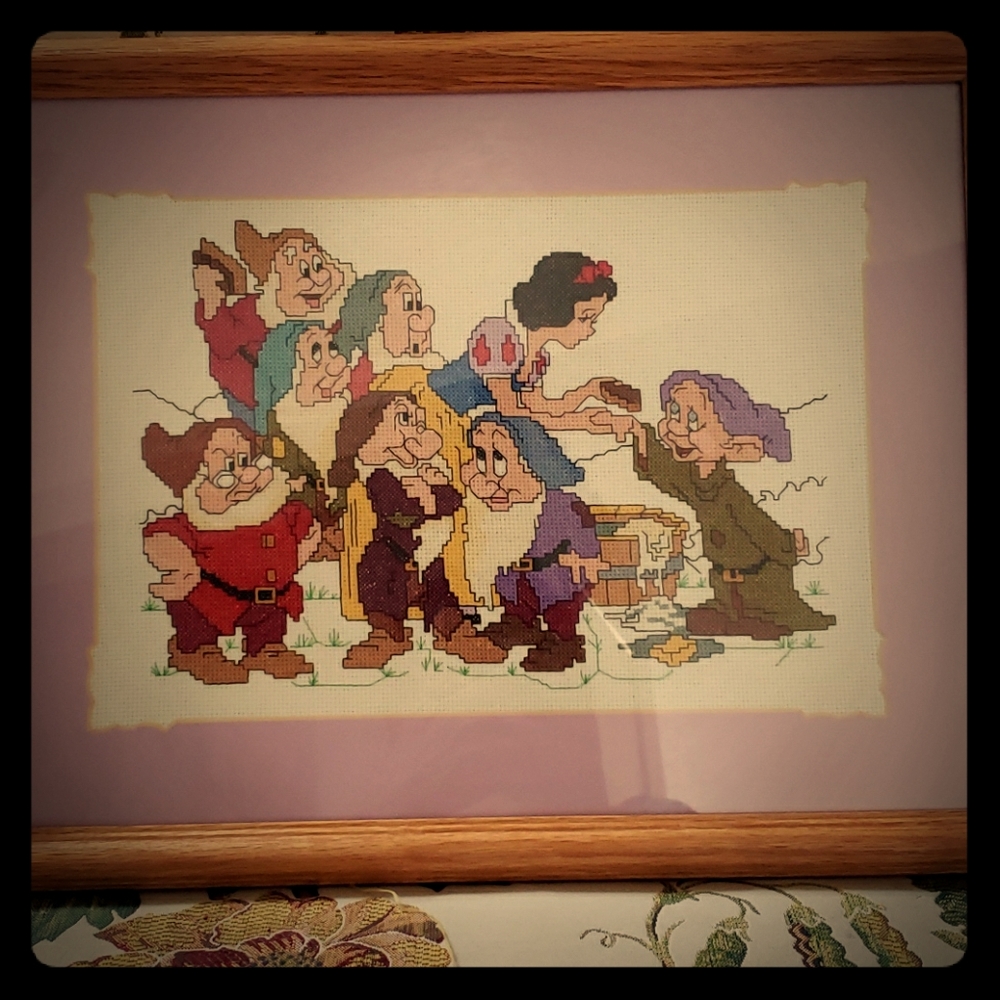 Snow white and the seven dorphs cross stitched